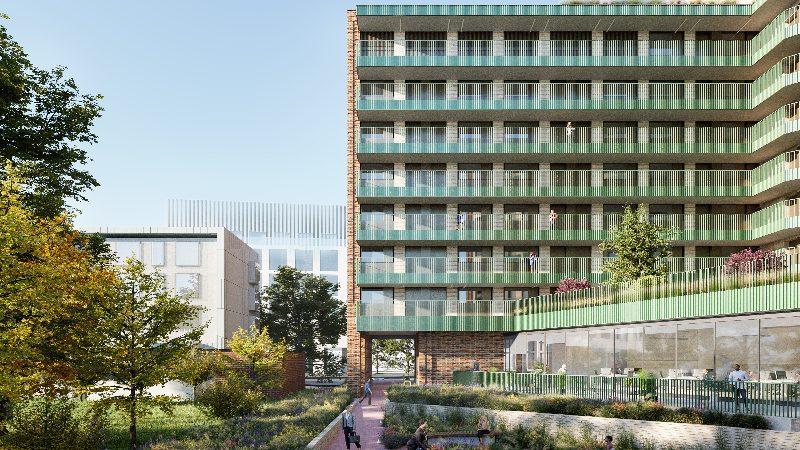Woodlane-1